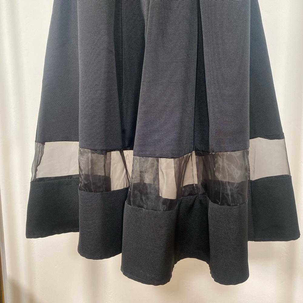 Express Dress - Picture 3 of 3